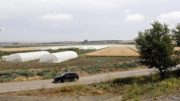ABC Andalucía publica encuesta realizada por Deimos Estadística